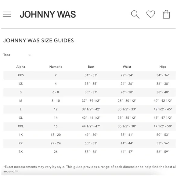 Johnny Was, Workshop, Maxine Western Embroidered Seamed Long Sleeve Shirt - Picture 15 of 16